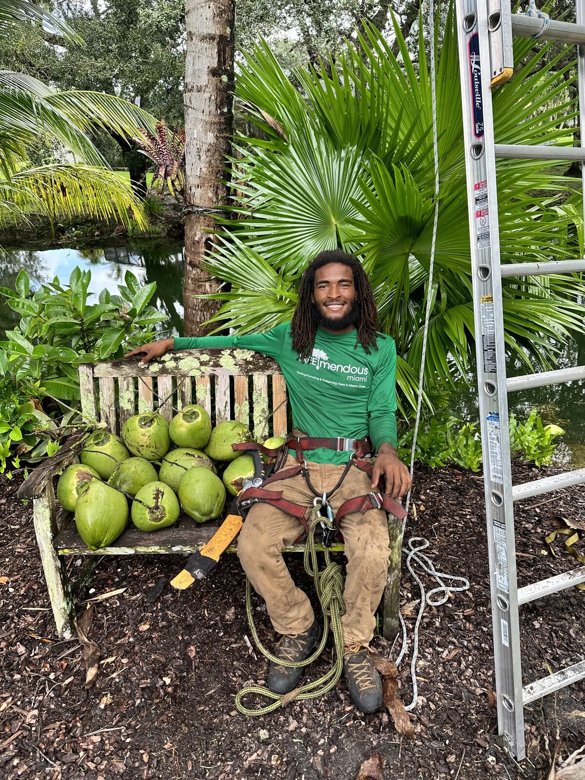 Arborist in climbing harness seated on a garden bench beside freshly harvested coconuts in Pinecrest